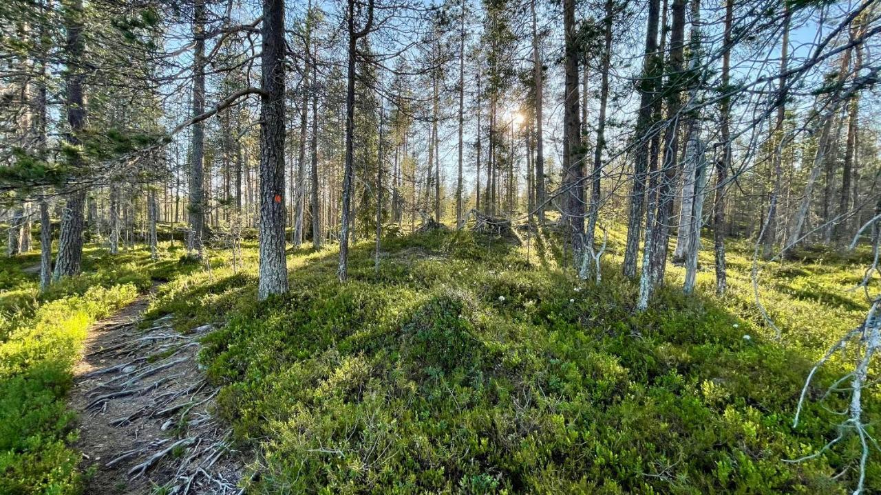 Lapiosalmi Wilderness Center Posio Exterior foto