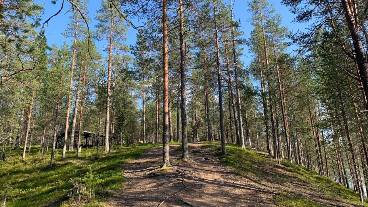 Lapiosalmi Wilderness Center Posio Exterior foto