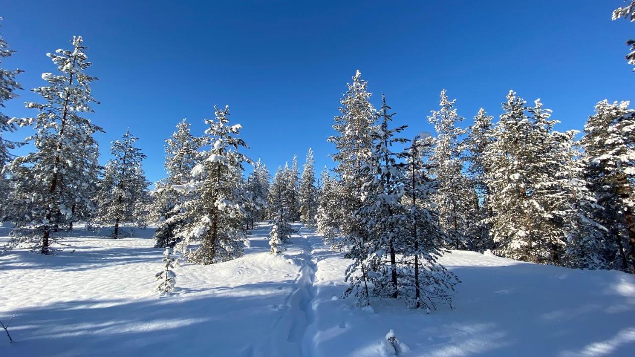 Lapiosalmi Wilderness Center Posio Exterior foto